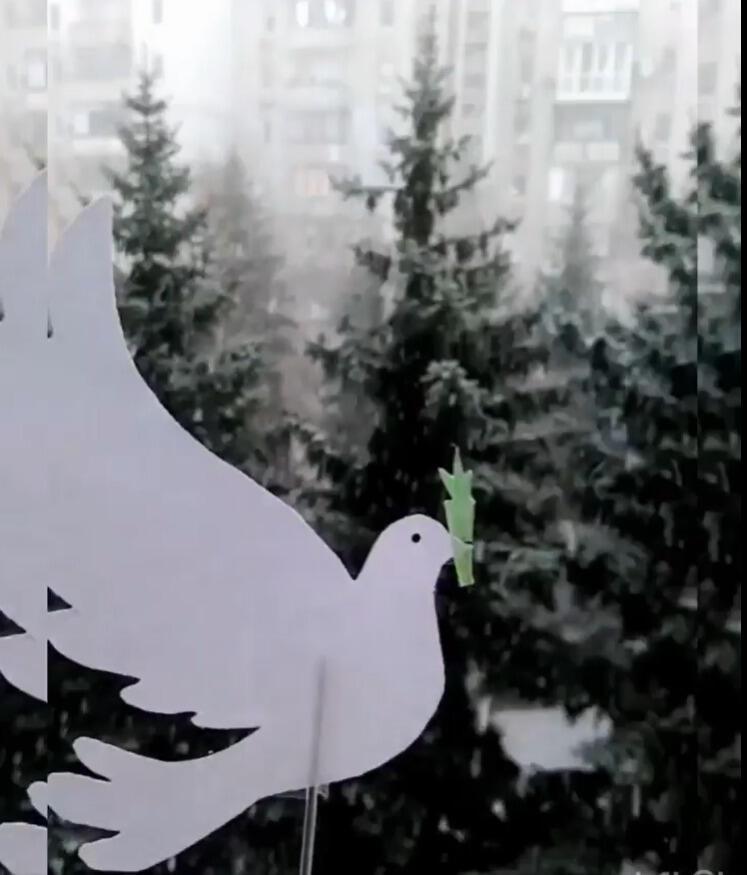 White puppet-dove is flying through a real forest with a green branch.