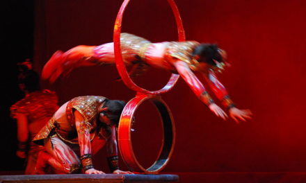 Dispelling The Myths Of Circus