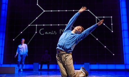 “The Curious Incident Of The Dog In The Night-Time” Trades Deadpan For High-octane