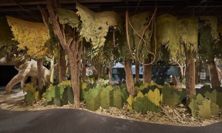 Jane Goodall’s Immersive Paper Forest Promotes Conservation
