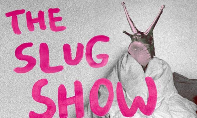 Welcome to the Slug Parade: Representation of Asexuality and Autism in “The Slug Show”