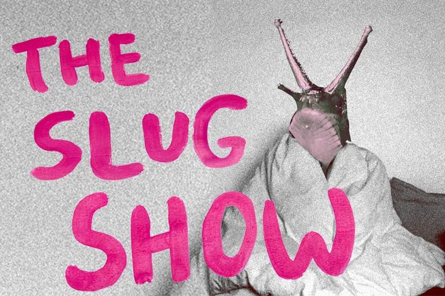 Welcome to the Slug Parade: Representation of Asexuality and Autism in “The Slug Show”