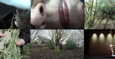 The Filmed Performance “Woodland Bird Woman” – a Collaboration Between Esther Salamon, Robert Laycock And David Stephenson: Between.Pomiędzy Dispersed Festival 2025