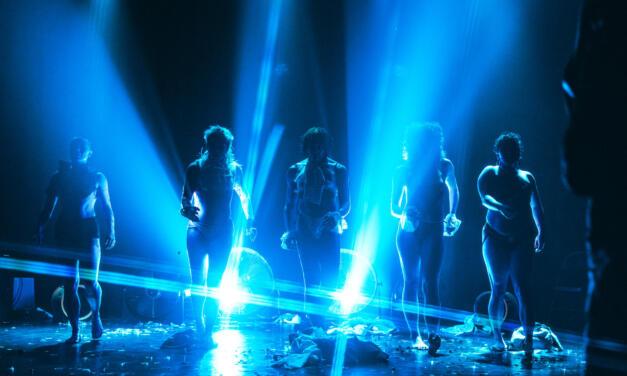 The Trans Excellence of Faggotica