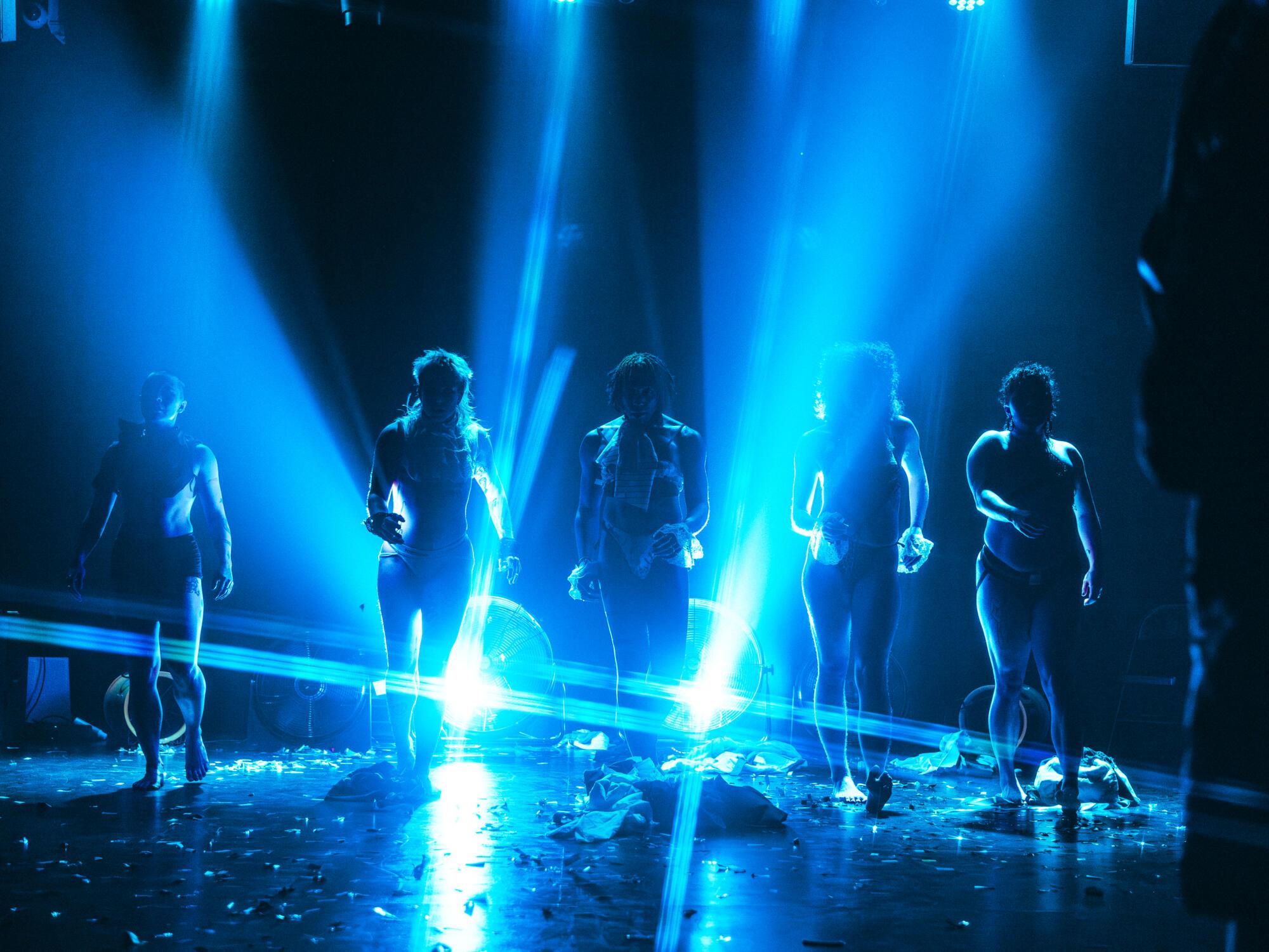 The Trans Excellence of Faggotica The Trans Excellence of Faggotica