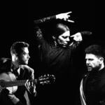 “Art Of Andalucia:” Rain Outside, Fire Within. Daniel Martinez Flamenco Company at The Haymarket, Basingstoke, Hampshire.