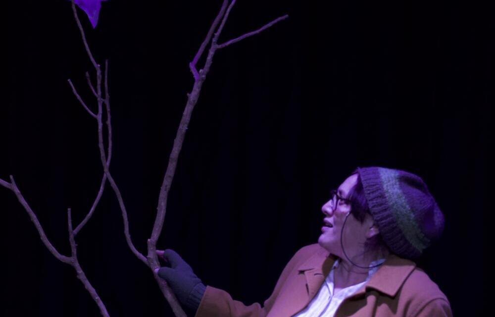 “Don’t Look Now”: Directing Theatre About the Climate Crisis