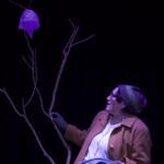 “Don’t Look Now”: Directing Theatre About the Climate Crisis