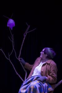 “No mires ahora”: dirigir teatro sobre la crisis climática