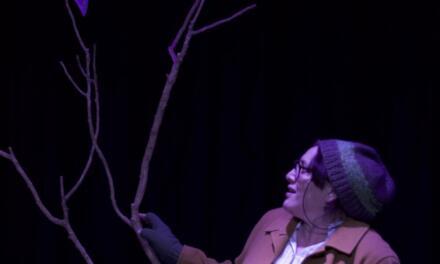 “Don’t Look Now”: Directing Theatre About the Climate Crisis