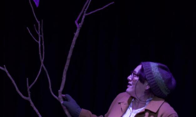 “Don’t Look Now”: Directing Theatre About the Climate Crisis
