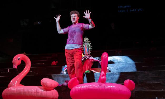 Beyond the Storm, a New York City Opera Thrives